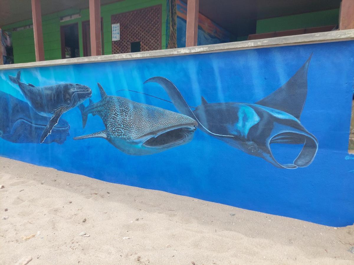 Pez Espada Tours Y Cabinas Drake Bay Luaran gambar